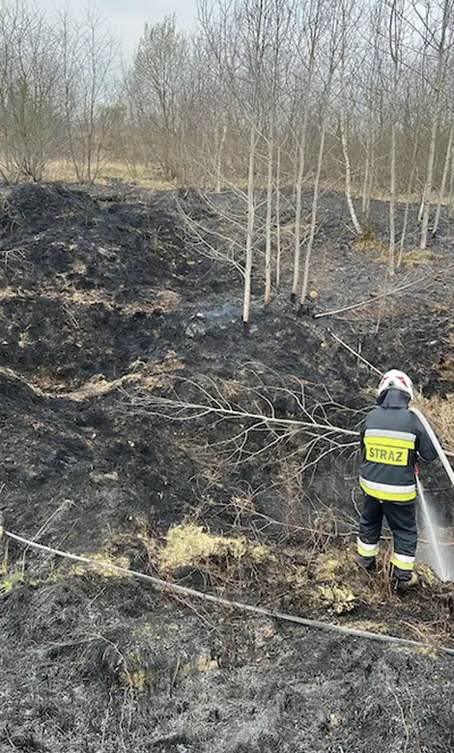 Bolec.Info - zdjęcie