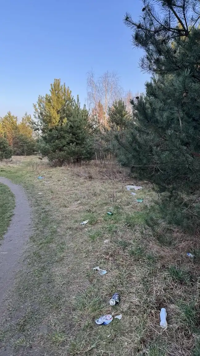 Bolec.Info - zdjęcie