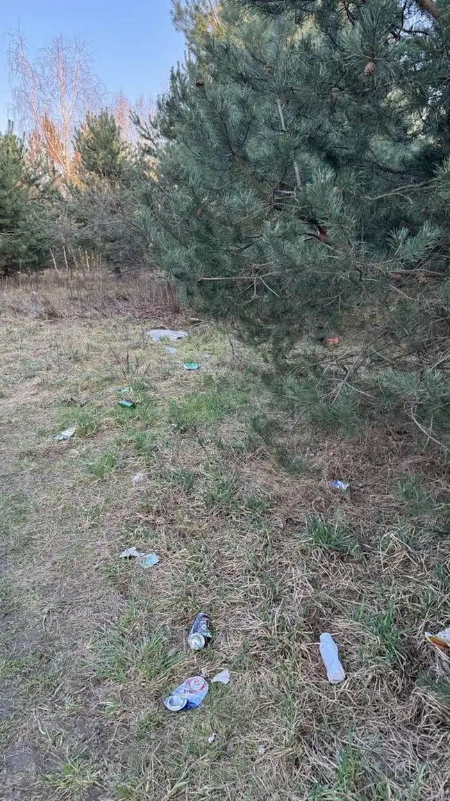 Bolec.Info - zdjęcie