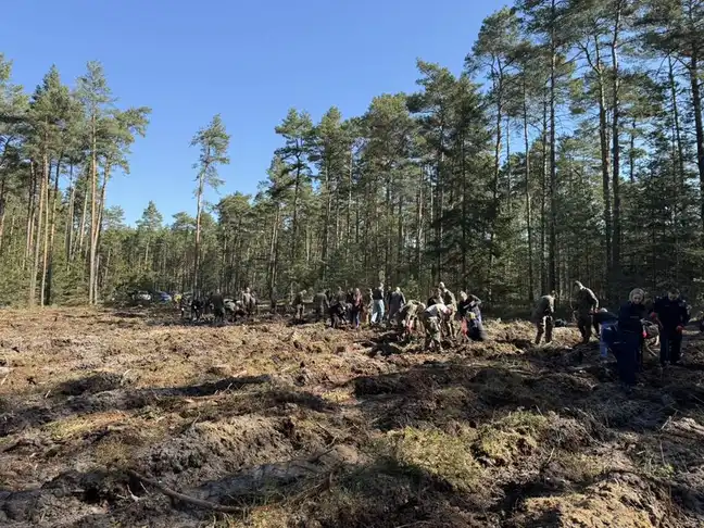 Bolec.Info - zdjęcie