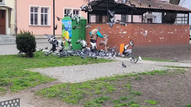 Bolec.Info - zdjęcie