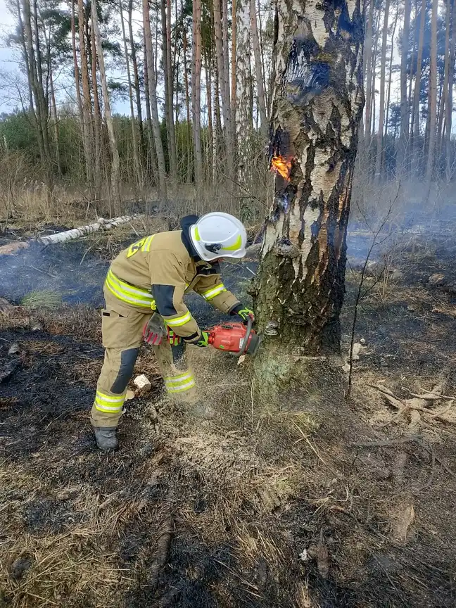 Bolec.Info - zdjęcie