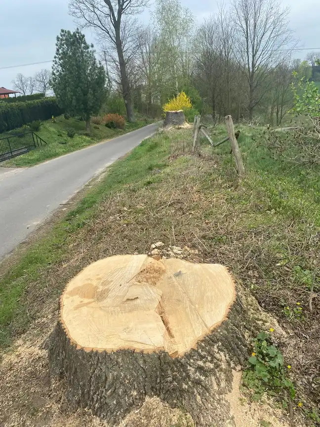Bolec.Info - zdjęcie