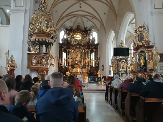 Bolec.Info - zdjęcie