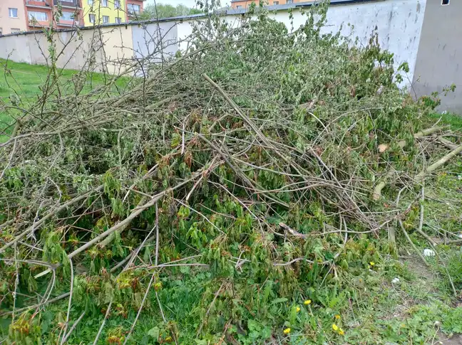 Bolec.Info - zdjęcie