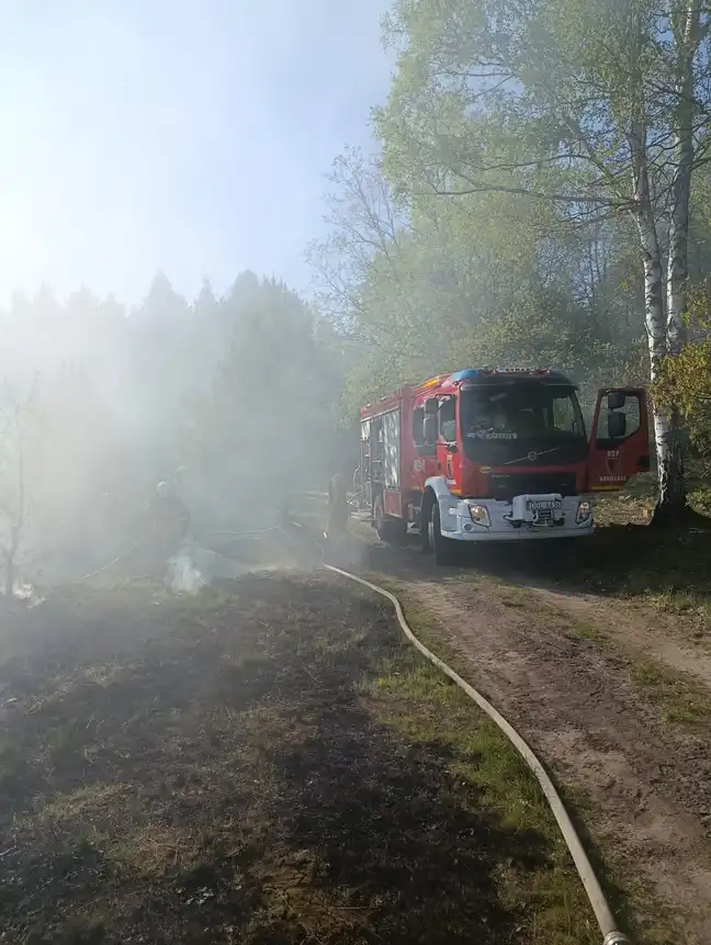 Bolec.Info - zdjęcie