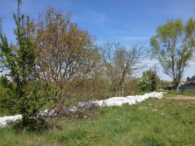 Bolec.Info - zdjęcie