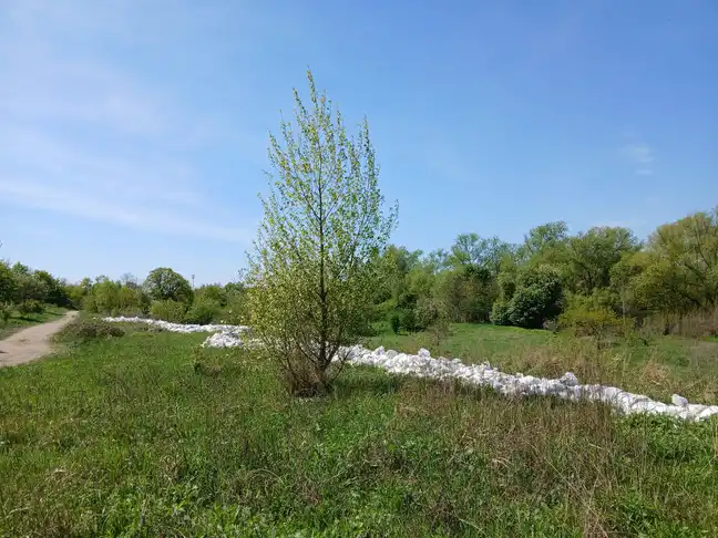Bolec.Info - zdjęcie