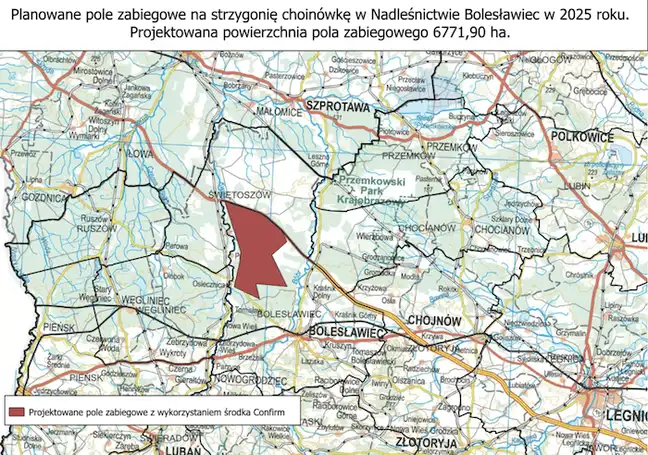 Bolec.Info - zdjęcie