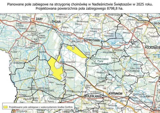 Bolec.Info - zdjęcie