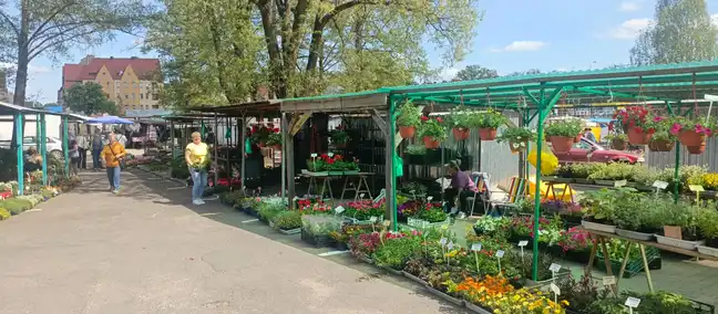 Bolec.Info - zdjęcie