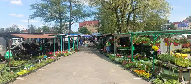Bolec.Info - zdjęcie
