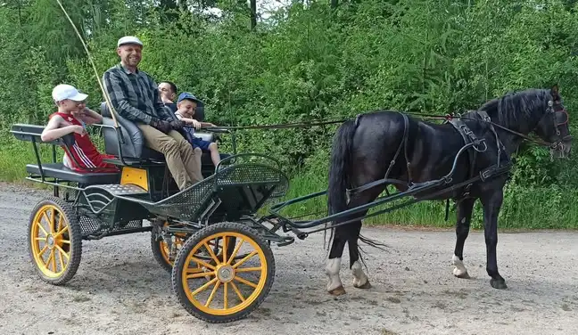 Bolec.Info - zdjęcie