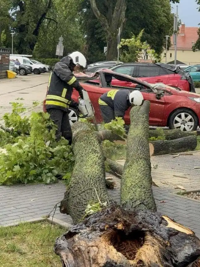 Bolec.Info - zdjęcie