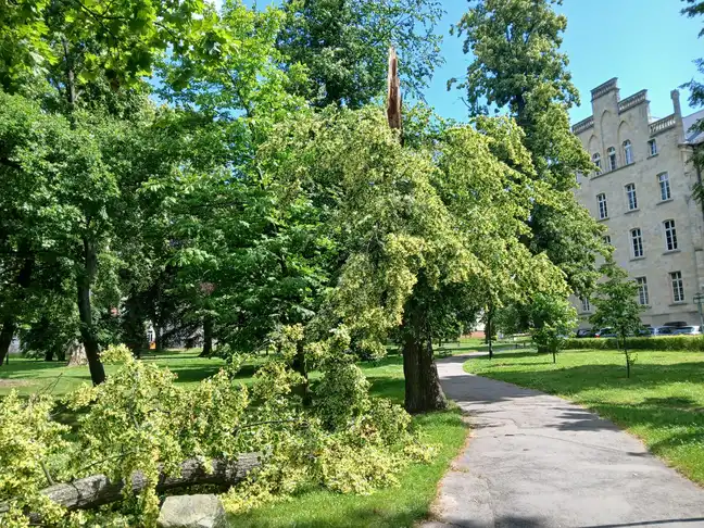 Bolec.Info - zdjęcie