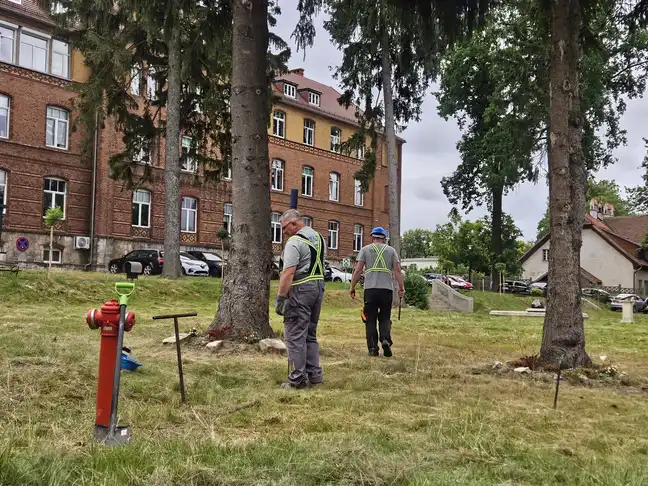 Bolec.Info - zdjęcie