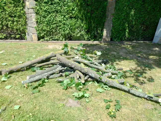 Bolec.Info - zdjęcie