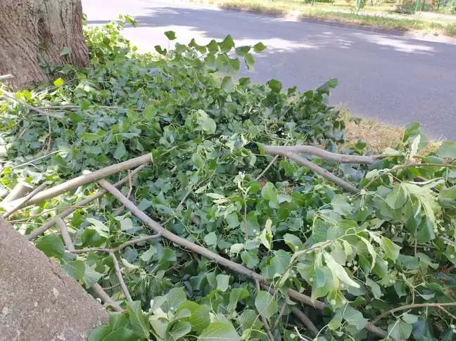 Bolec.Info - zdjęcie