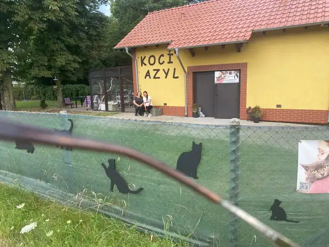 Bolec.Info - zdjęcie