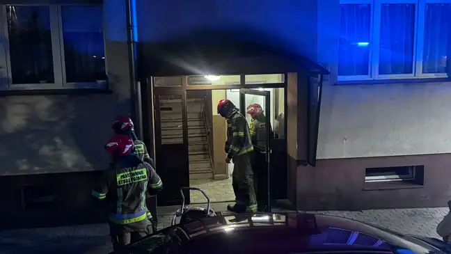 Bolec.Info - zdjęcie