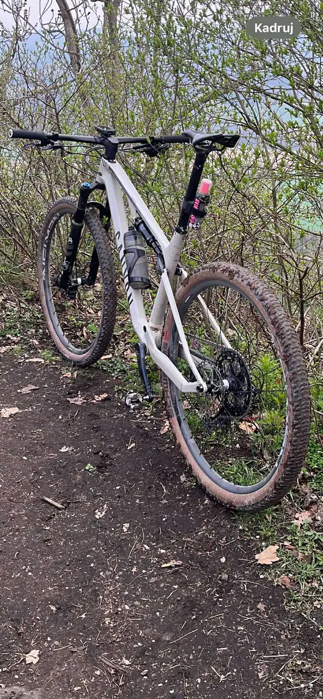 Bolec.Info - zdjęcie