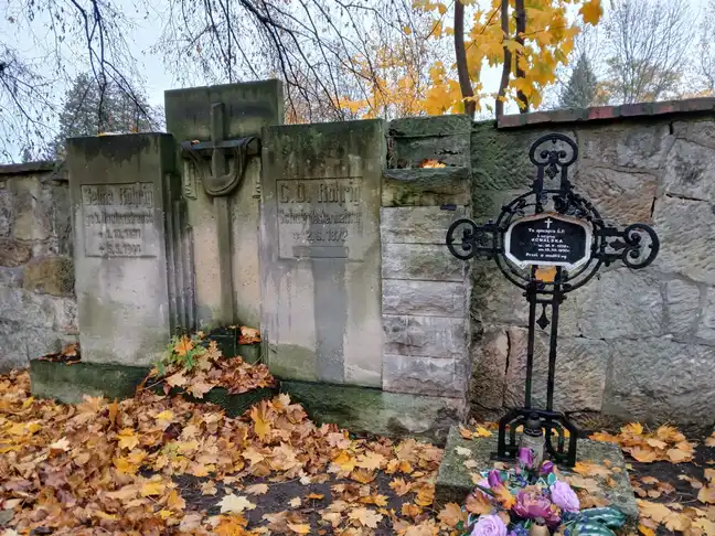 Bolec.Info - zdjęcie