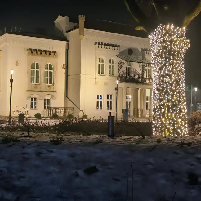 Bolec.Info - zdjęcie