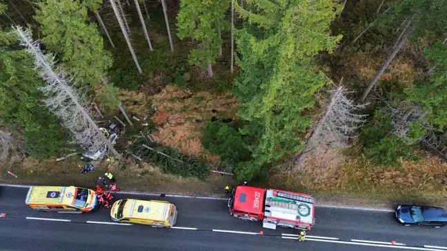 Bolec.Info - zdjęcie