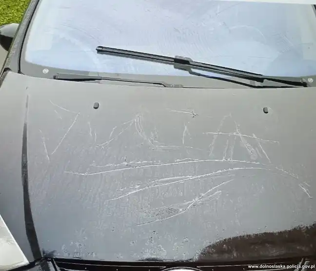 Bolec.Info - zdjęcie