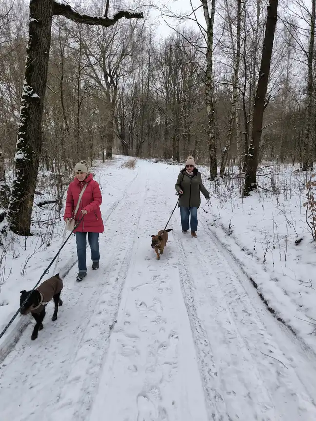 Bolec.Info - zdjęcie