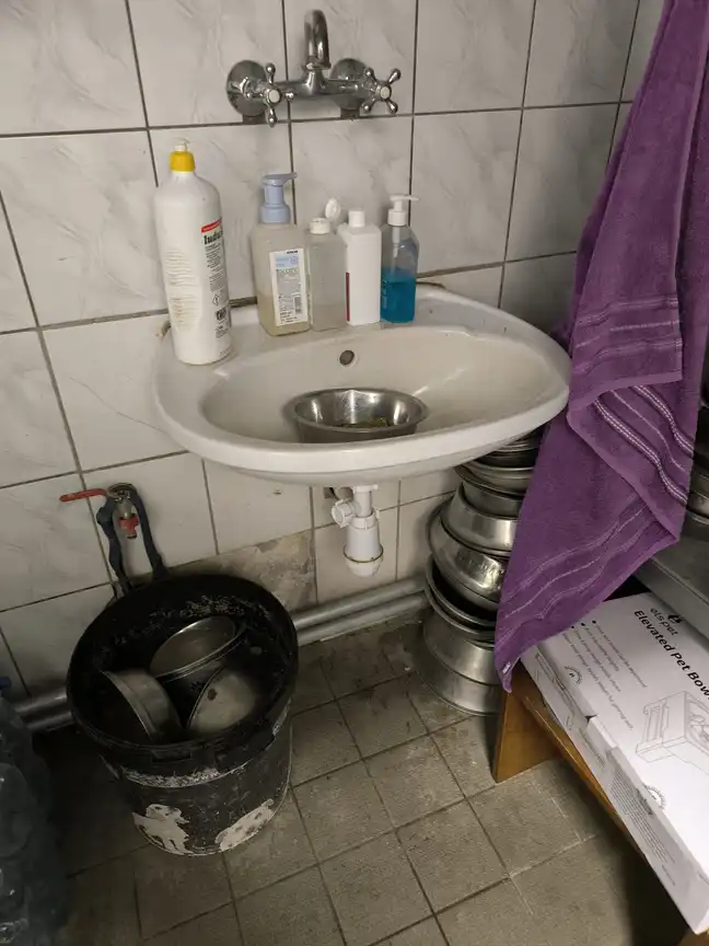 Bolec.Info - zdjęcie