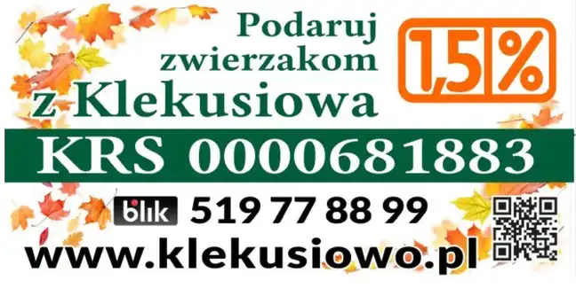 Bolec.Info - zdjęcie