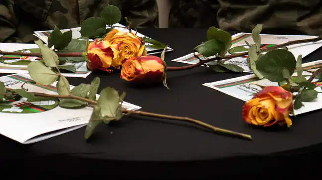 Bolec.Info - zdjęcie