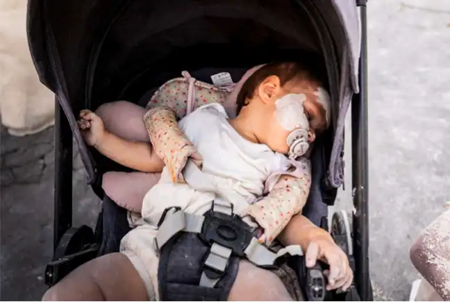 Bolec.Info - zdjęcie