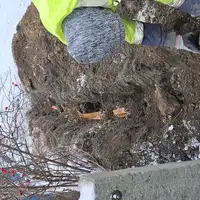 Praca fizyczna 