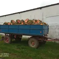 Drewno na opał