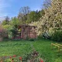 Sprzedam prawo do dzierżawy działki rekreacyjnej 