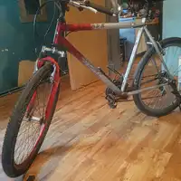 Rower górski Escape 