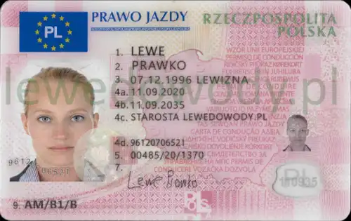 Dokumenty kolekcjonerskie Dowód osobisty Prawo jazdy Paszport