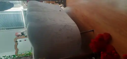 Sofa dwuosobowa 