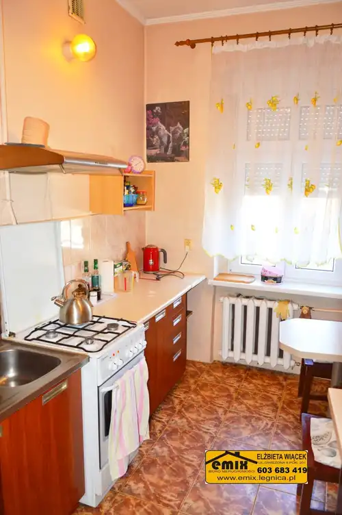 2 pokojowe, rozkładowe mieszkanie na I piętrze w Legnicy