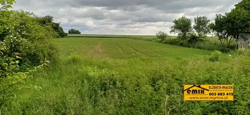 Zabudowana działka gruntu w miejscowości Wojciechów, gm. Zagrodno