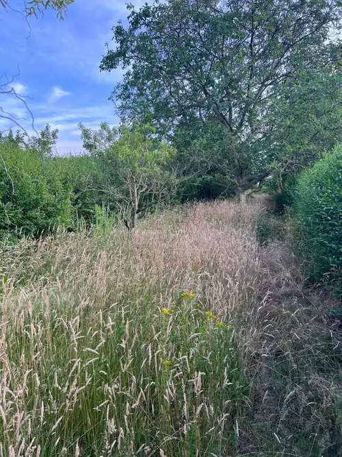 Działka ROD do sprzedania, ul. Staroszkolna