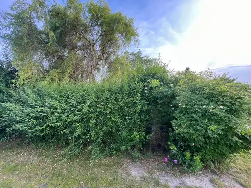 Działka ROD do sprzedania, ul. Staroszkolna