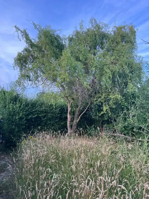 Działka ROD do sprzedania, ul. Staroszkolna