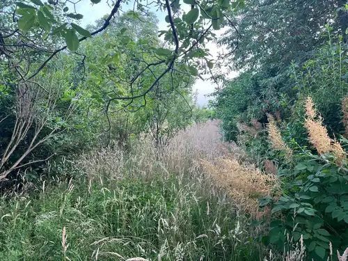 Działka ROD do sprzedania, ul. Staroszkolna