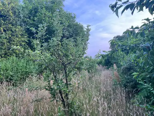 Działka ROD do sprzedania, ul. Staroszkolna