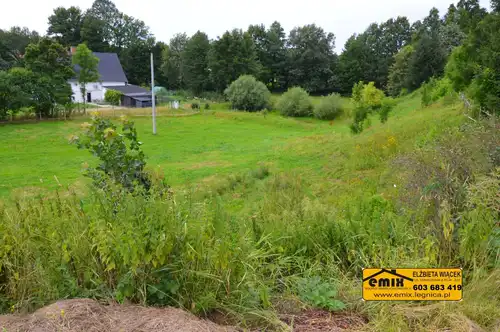 Lokal z możliwością przekształcenia na dom, działka 2880m2 