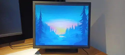 Monitor 