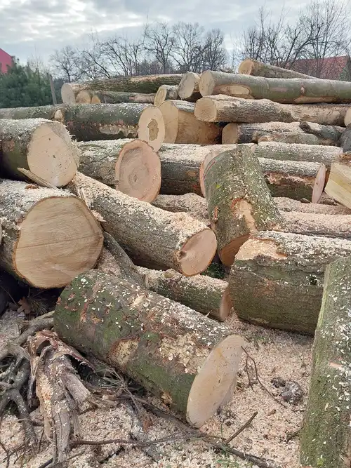 drewno kominkowe opalowe  691787750